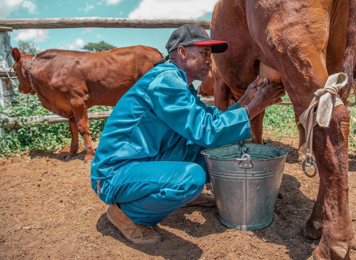 Farmstay Okakeua Okahandja Dış mekan fotoğraf