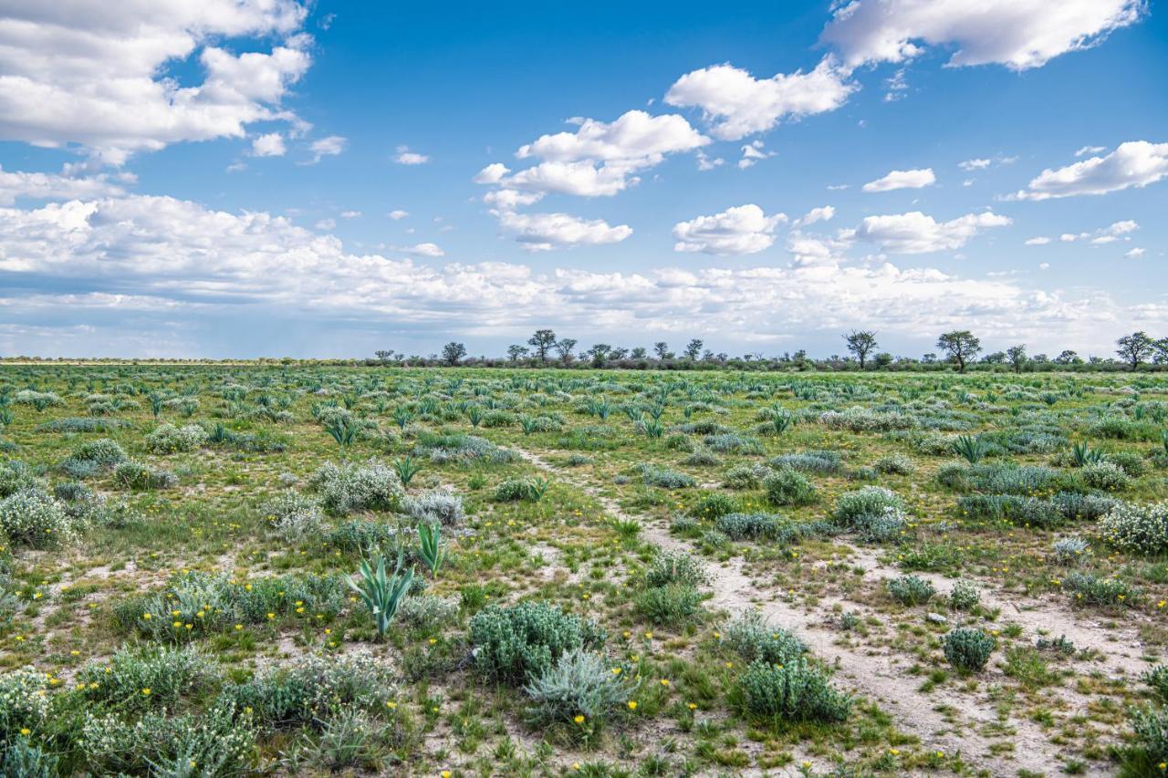 Farmstay Okakeua Okahandja Dış mekan fotoğraf
